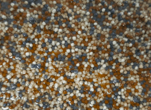 Versatex-e1538667223566